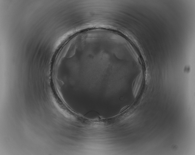 X0000113120438200909111144