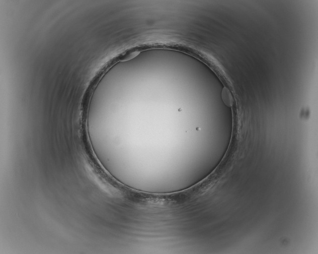 X0000113120439200909111144