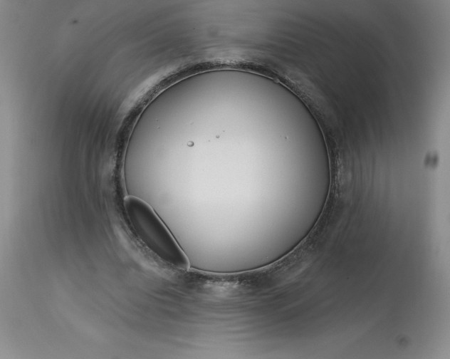 X0000113120440200909111144