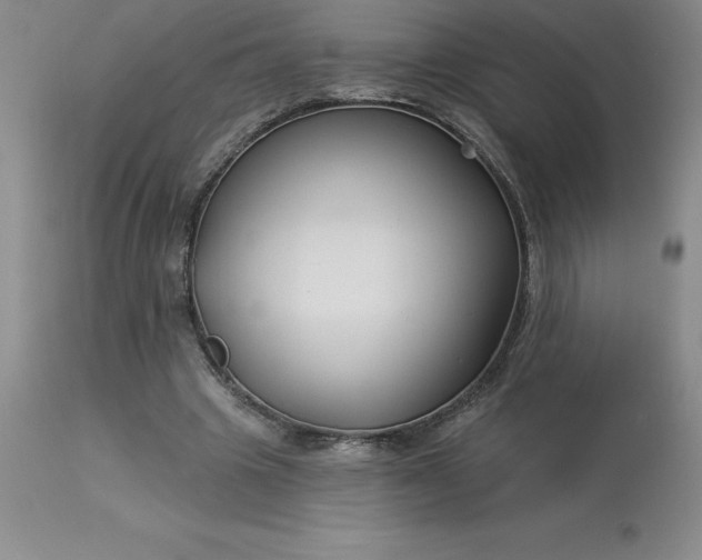 X0000113120441200909111144