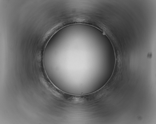 X0000113120442200909111144