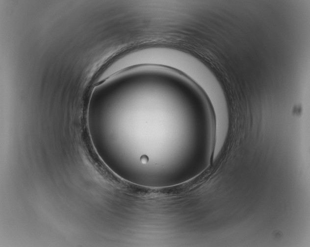 X0000113120444200909111144