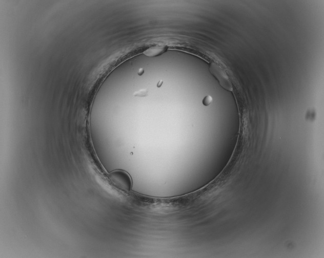 X0000113120445200909111144