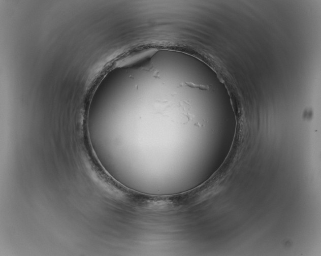 X0000113120446200909111144