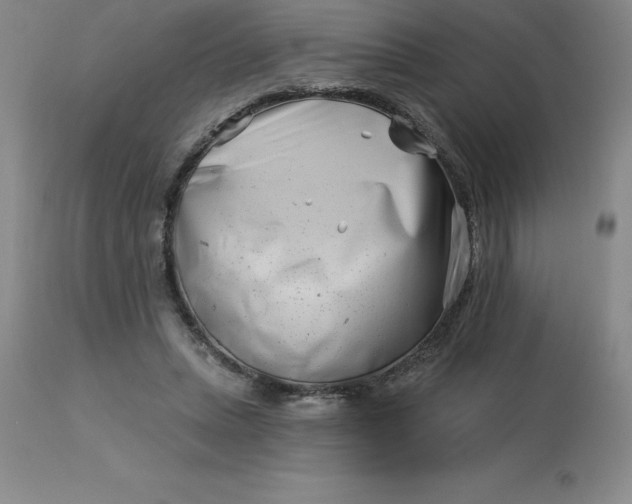 X0000113120447200909111144