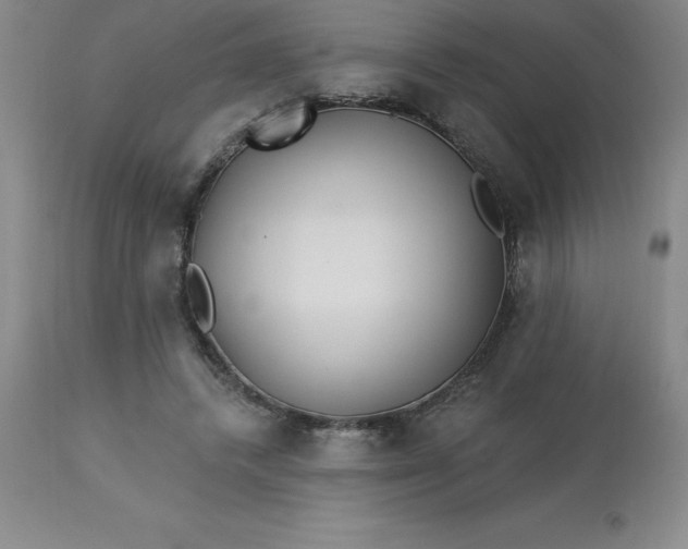 X0000113120448200909111144