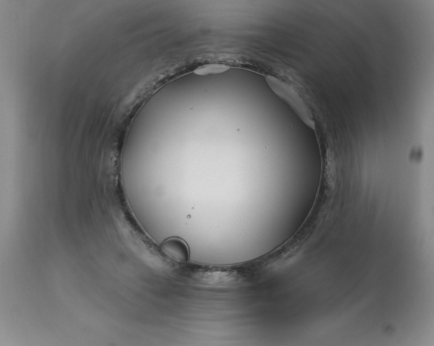 X0000113120449200909111144