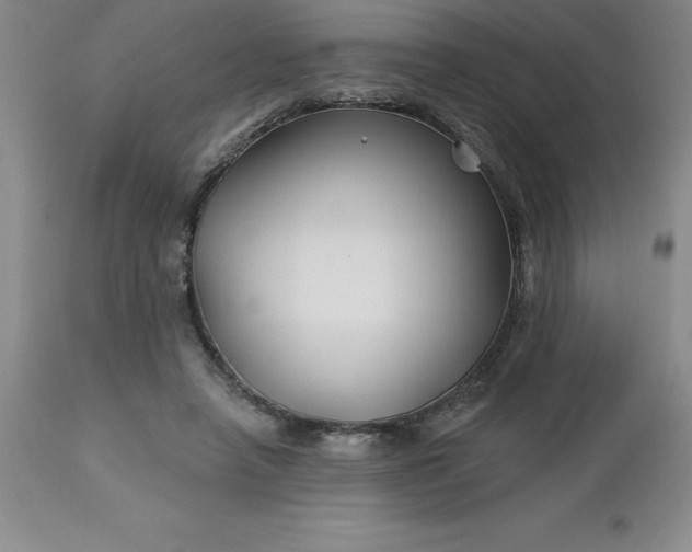 X0000113120450200909111144