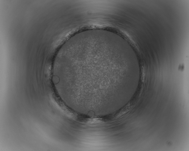 X0000113120451200909111144