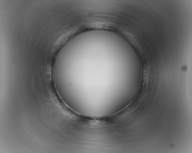 X0000113120453200909111144