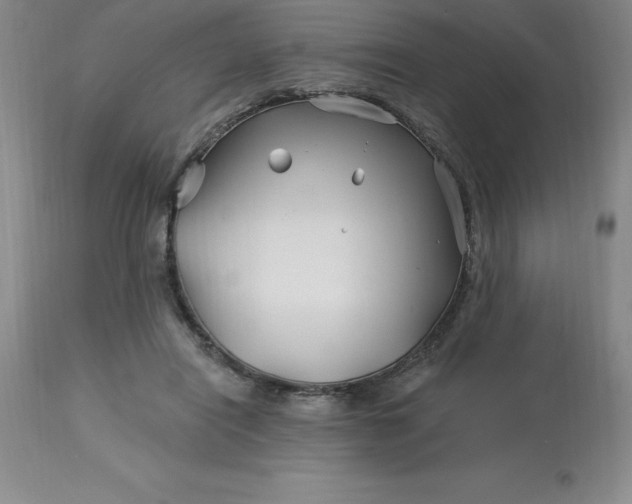 X0000113120454200909111144