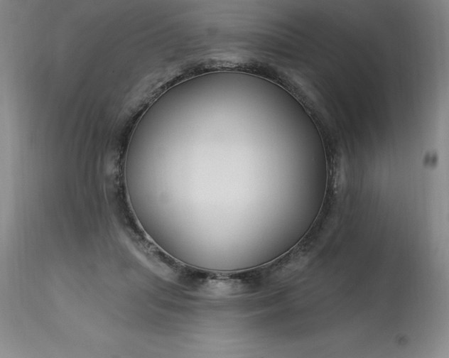 X0000113120455200909111144