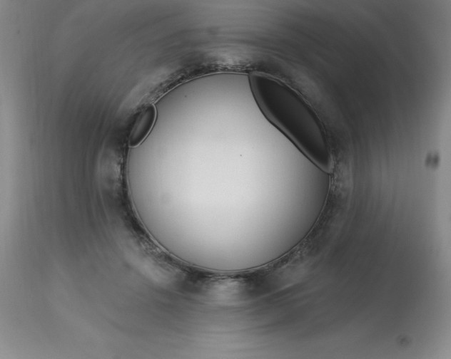 X0000113120456200909111144