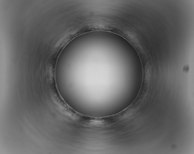 X0000113120457200909111144