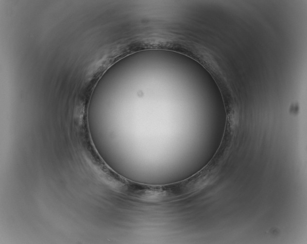 X0000113120458200909111144