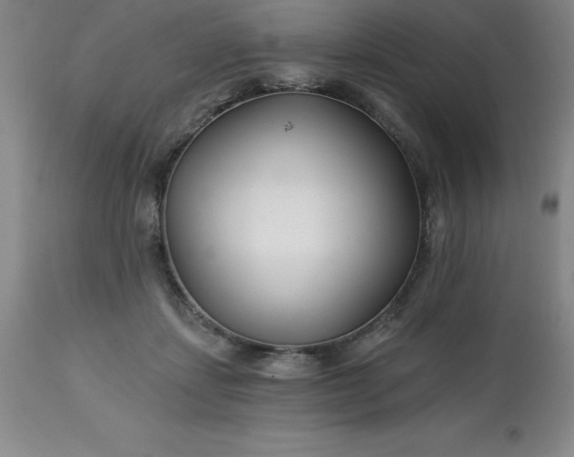 X0000113120459200909111144