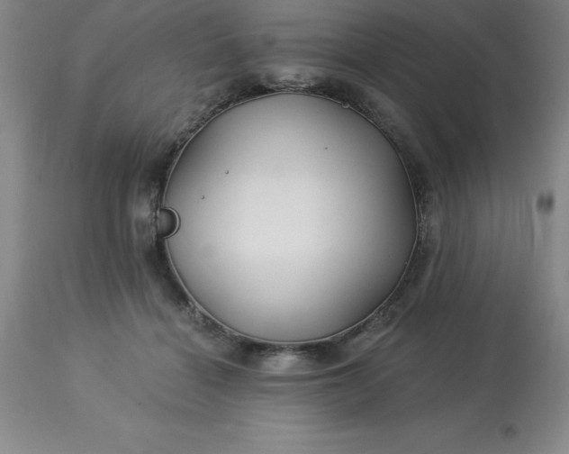 X0000113120460200909111144