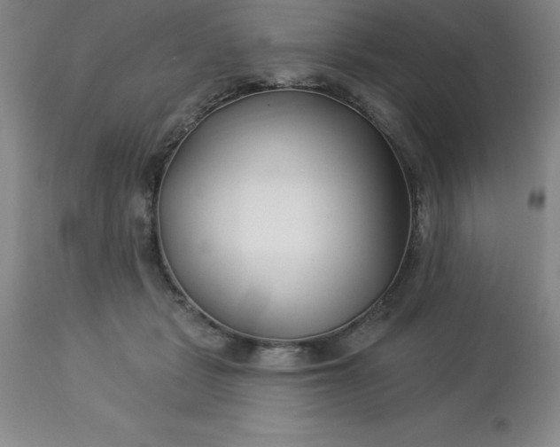 X0000113120461200909111144