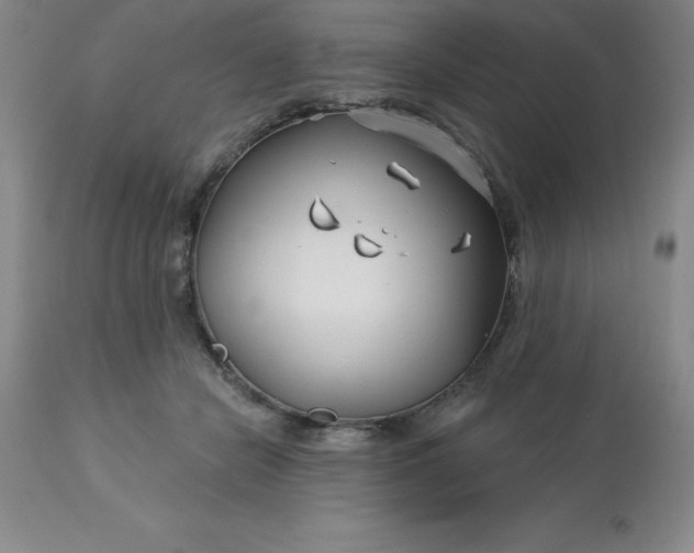 X0000113120462200909111144