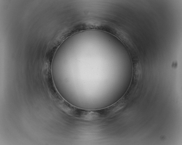 X0000113120463200909111144