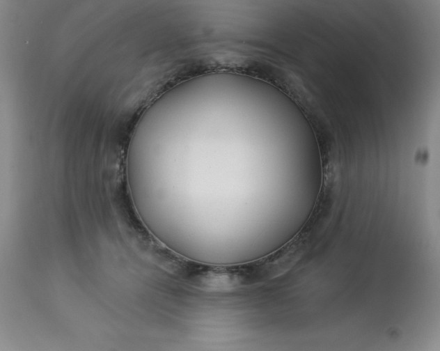 X0000113120464200909111144