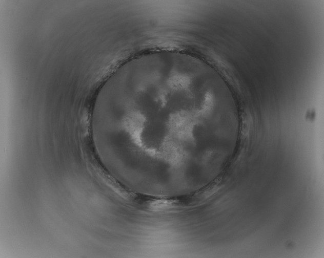 X0000113120465200909111144