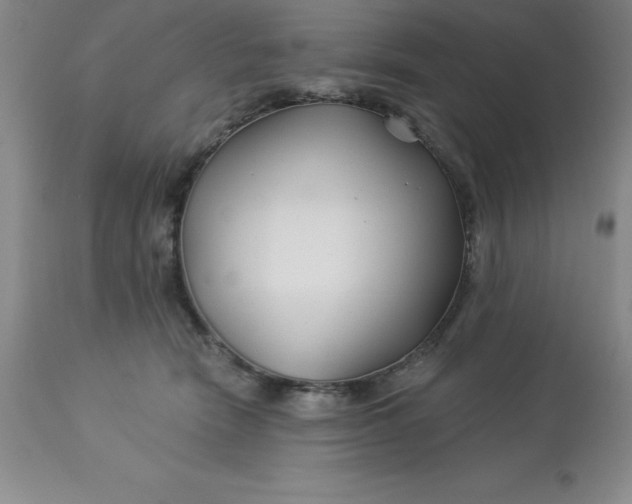 X0000113120466200909111144