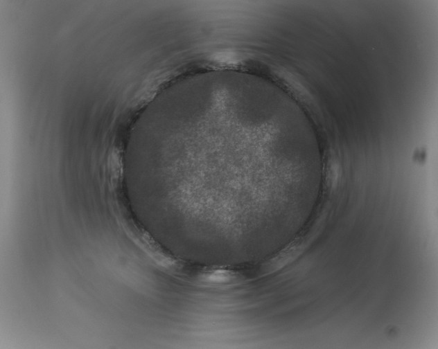 X0000113120467200909111144