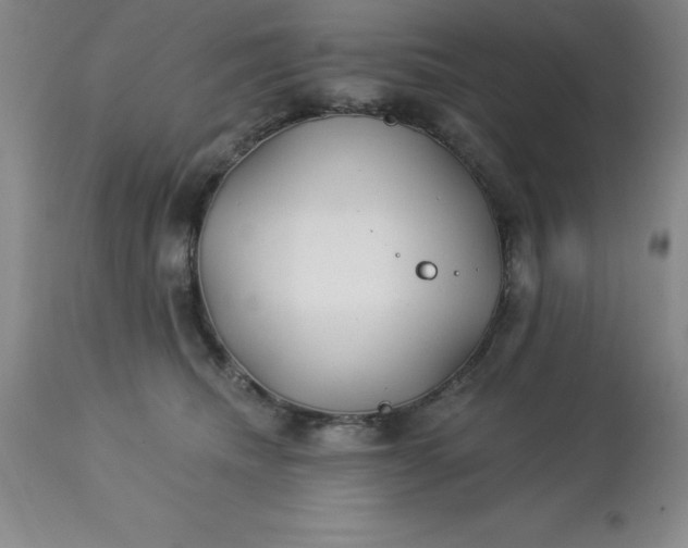 X0000113120468200909111144