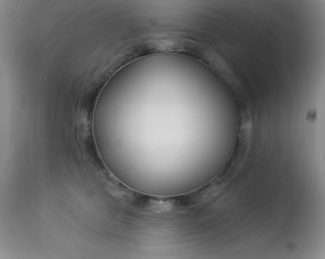 X0000113120469200909111144