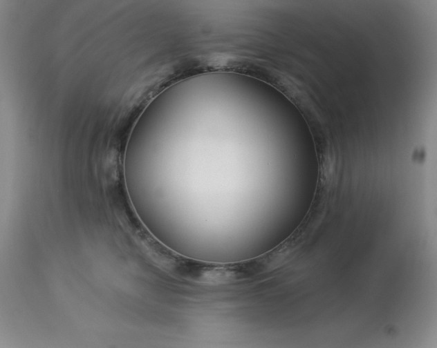 X0000113120470200909111144