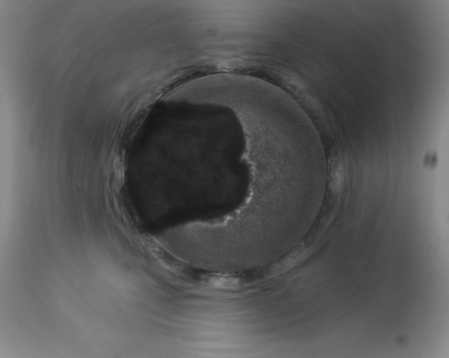 X0000113120471200909111144