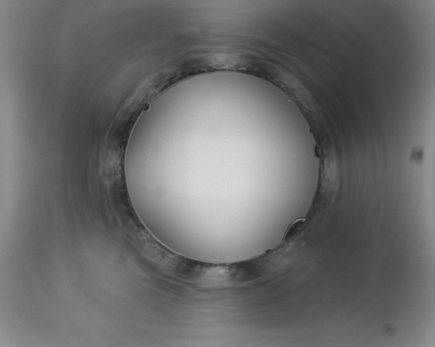 X0000113120473200909111144