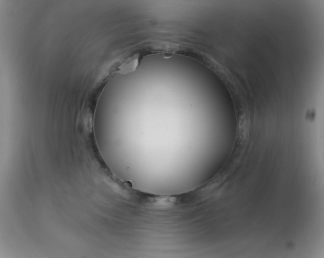 X0000113120474200909111144