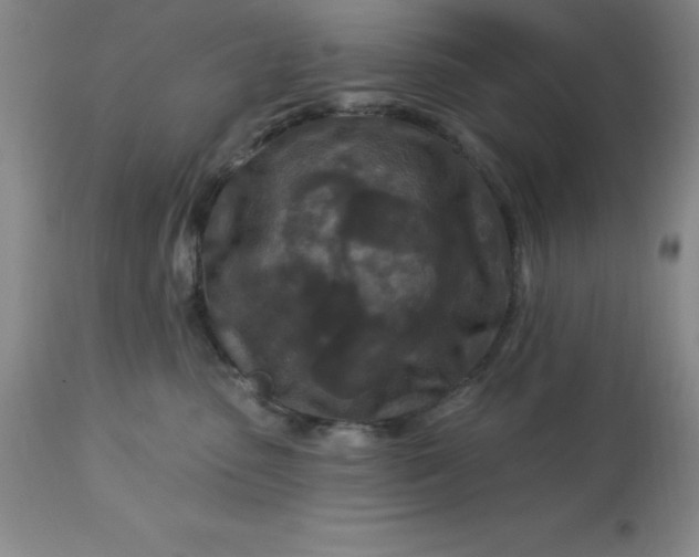 X0000113120475200909111144