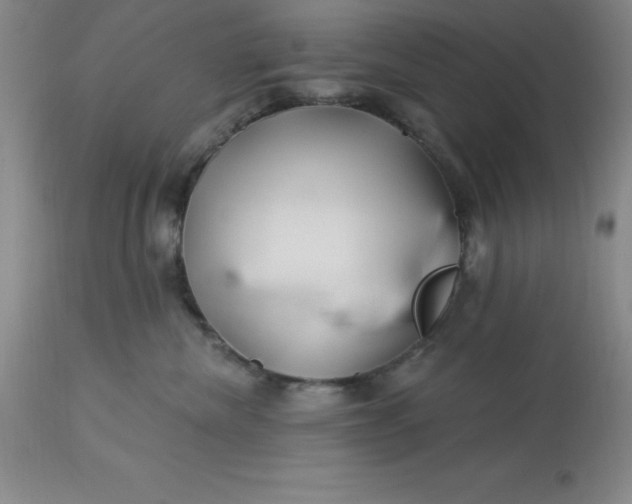 X0000113120476200909111144