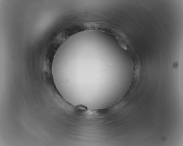 X0000113120477200909111144