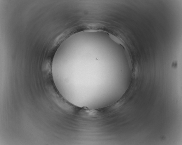 X0000113120478200909111144