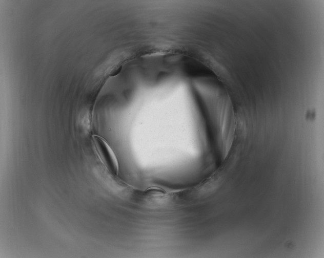 X0000113120479200909111144