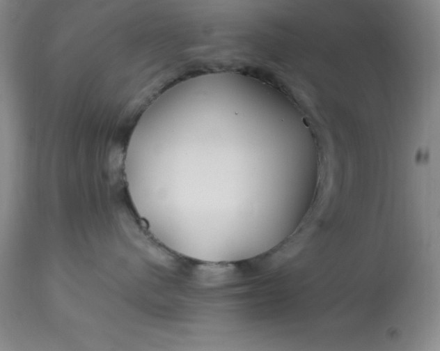 X0000113120480200909111144