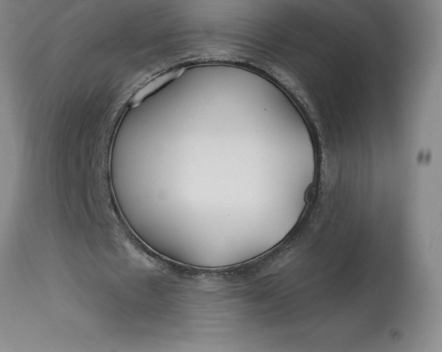 X0000113120481200909111144