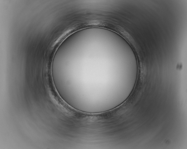 X0000113120482200909111144