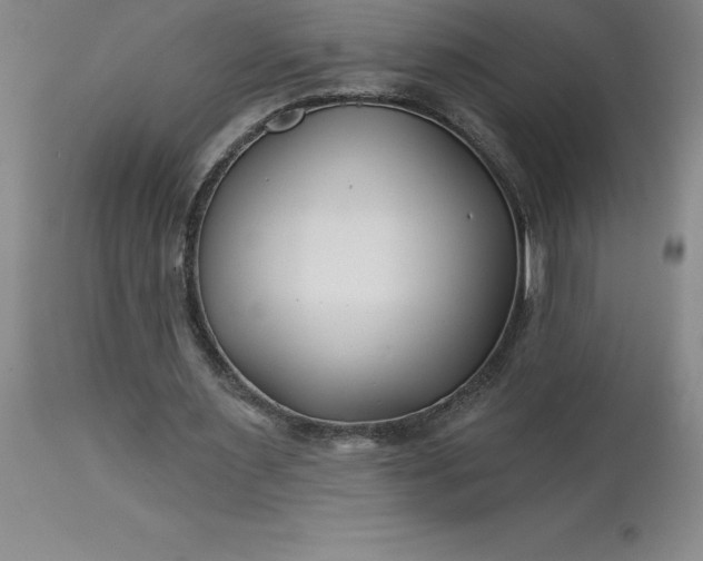 X0000113120483200909111144