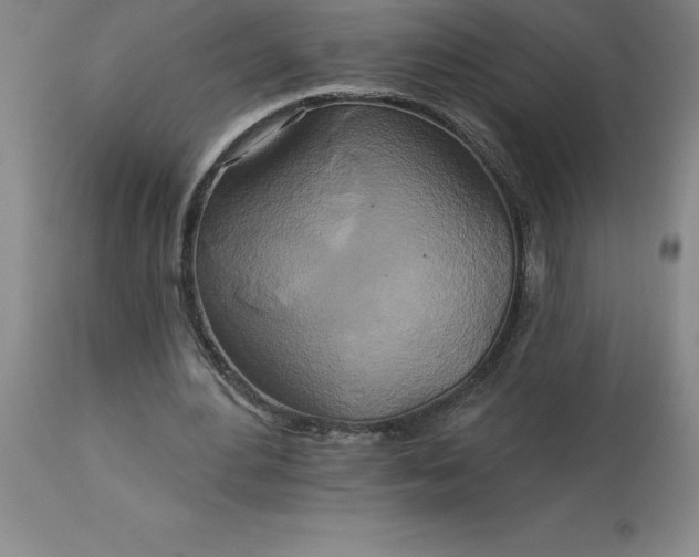 X0000113120484200909111144