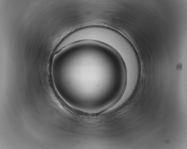 X0000113120485200909111144