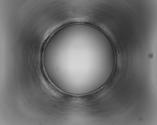 X0000113120486200909111143