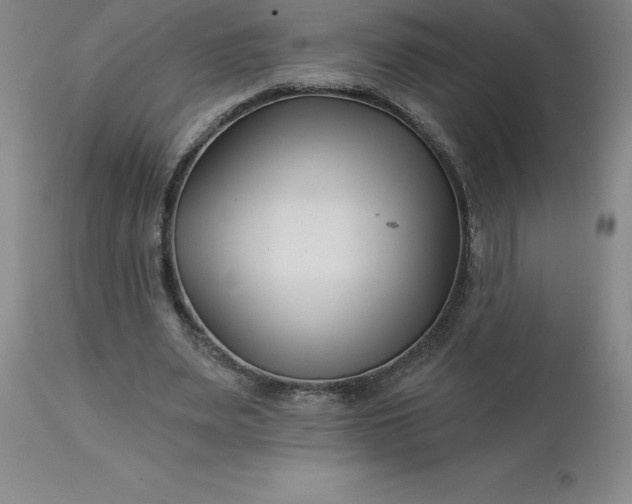 X0000113120487200909111143