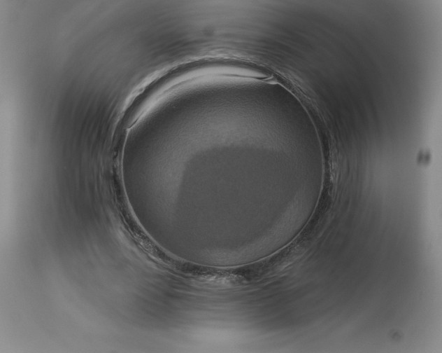 X0000113120488200909111143