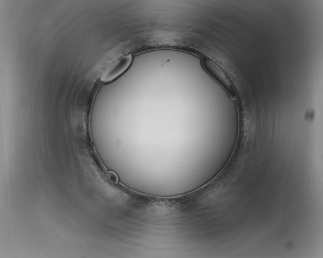 X0000113120489200909111143