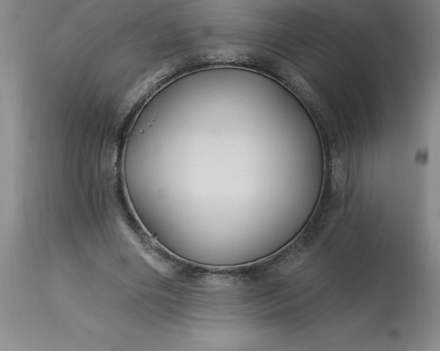 X0000113120490200909111143